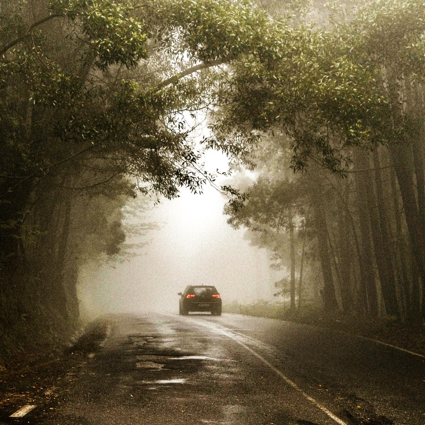 Neblina